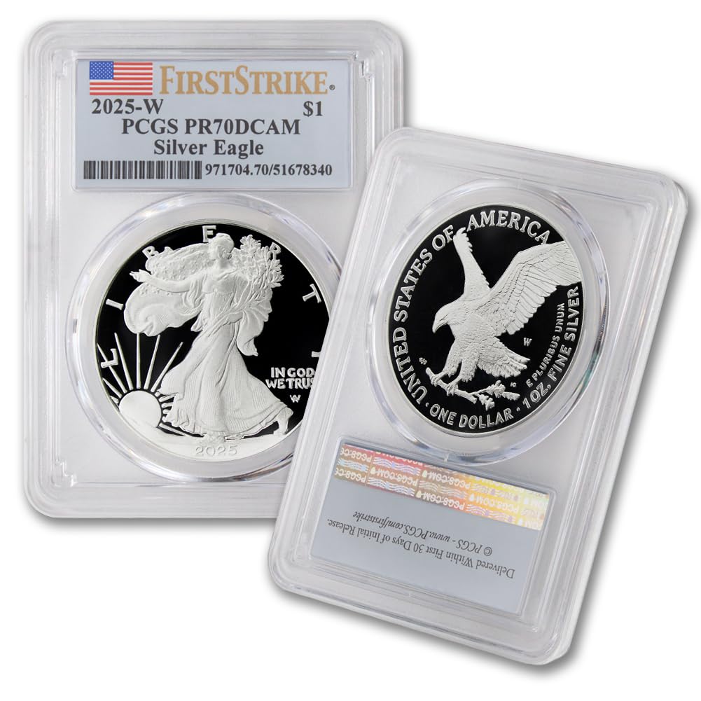 1 oz American Silver Eagle Coin V359378
