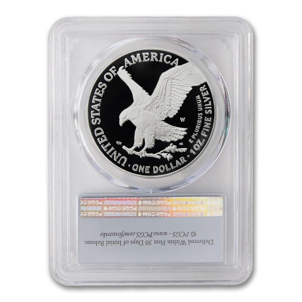 1 oz American Silver Eagle Coin V359378