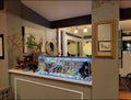 6 Gallon Clear Glass Aquarium T538052