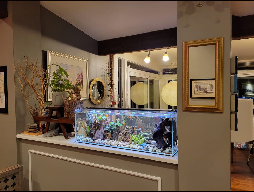 6 Gallon Clear Glass Aquarium T538052