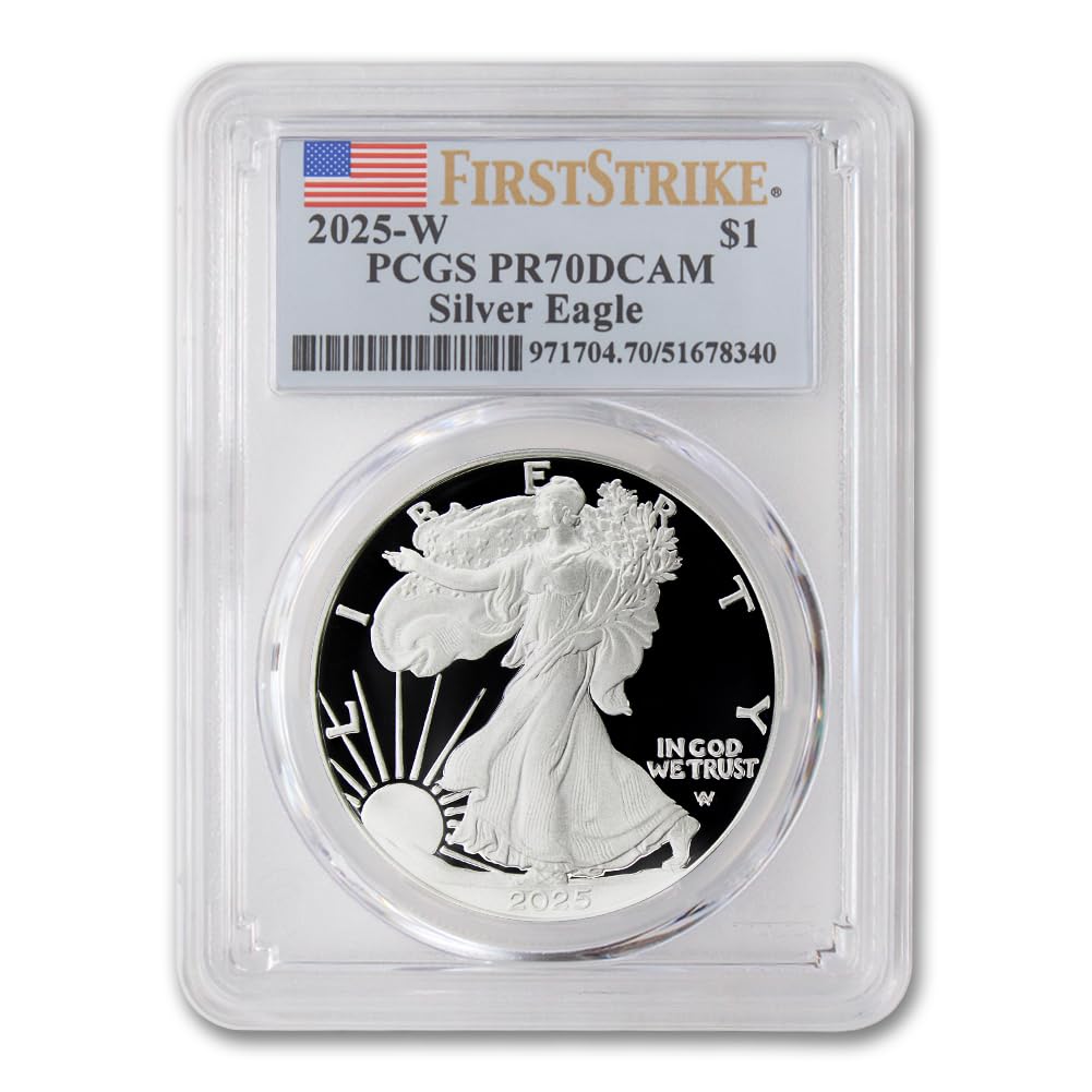 1 oz American Silver Eagle Coin V359378