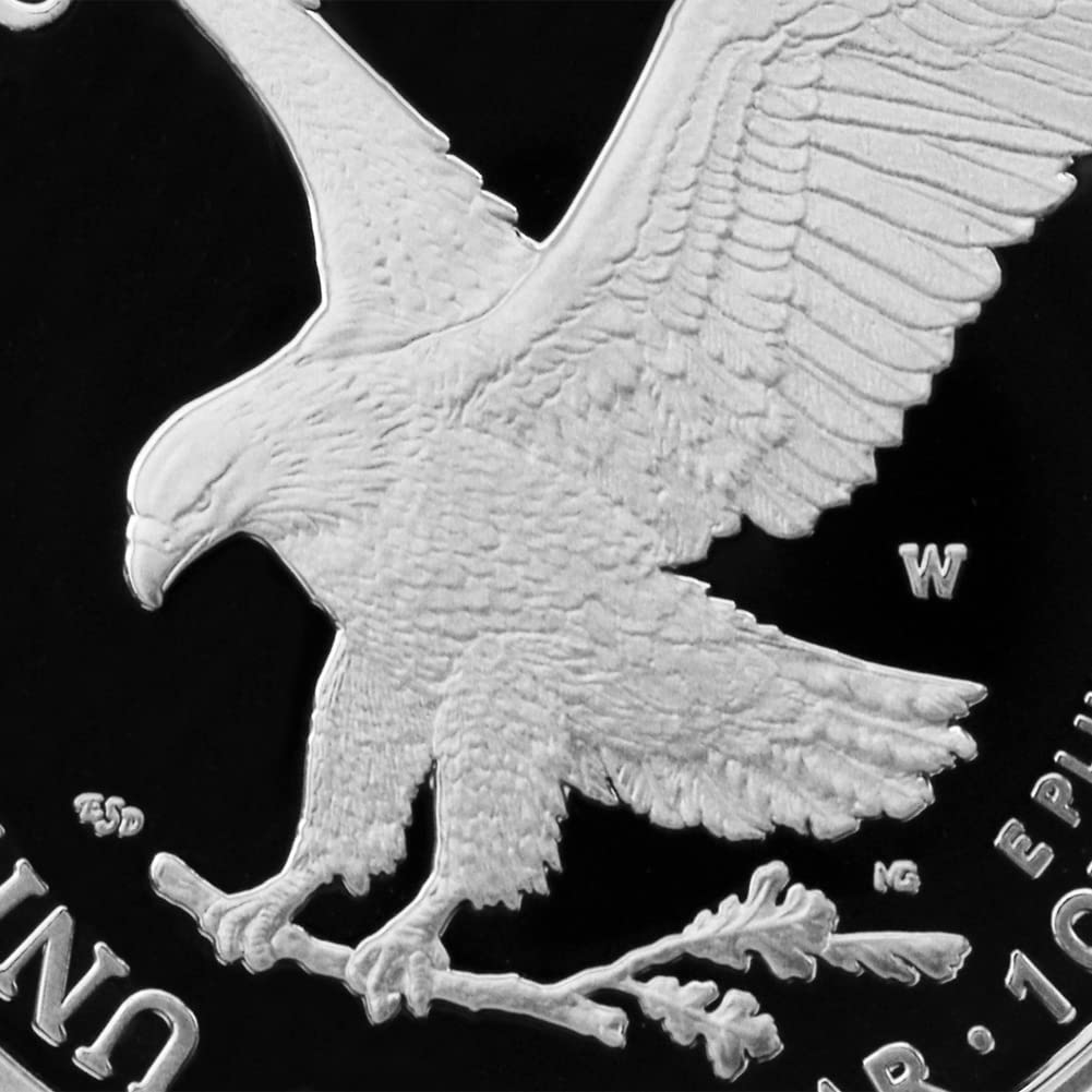 1 oz American Silver Eagle Coin V359378