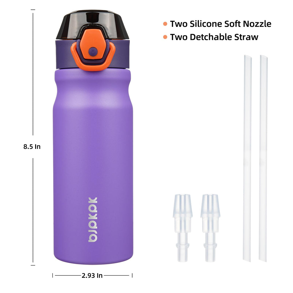 18 oz Insulated Stainless Water Bottle with Straw & Handle Q14369