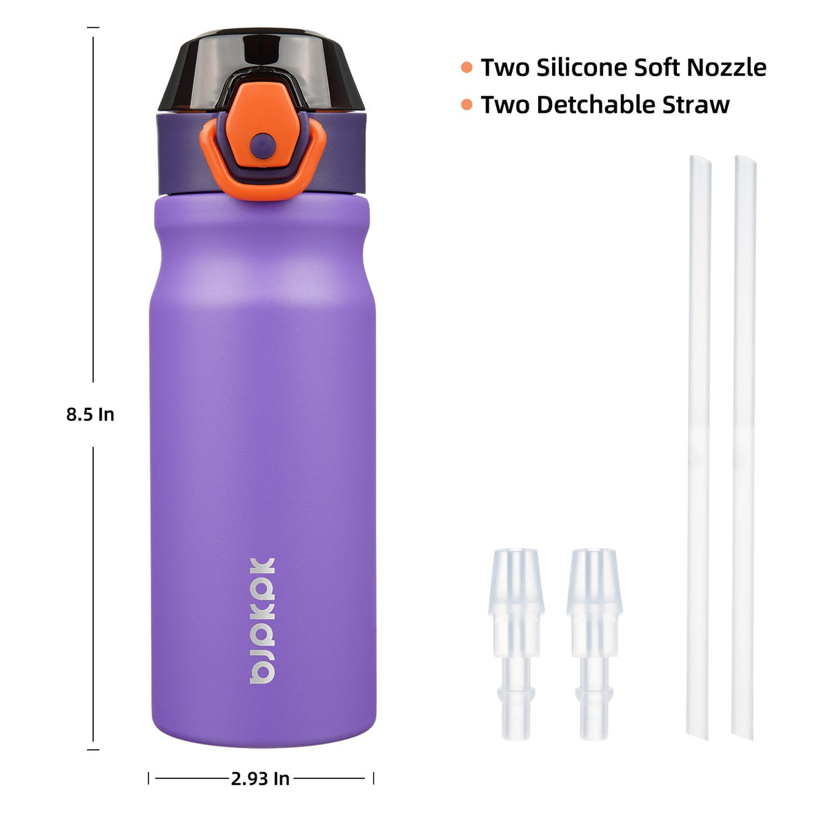 18 oz Insulated Stainless Water Bottle with Straw & Handle Q14369