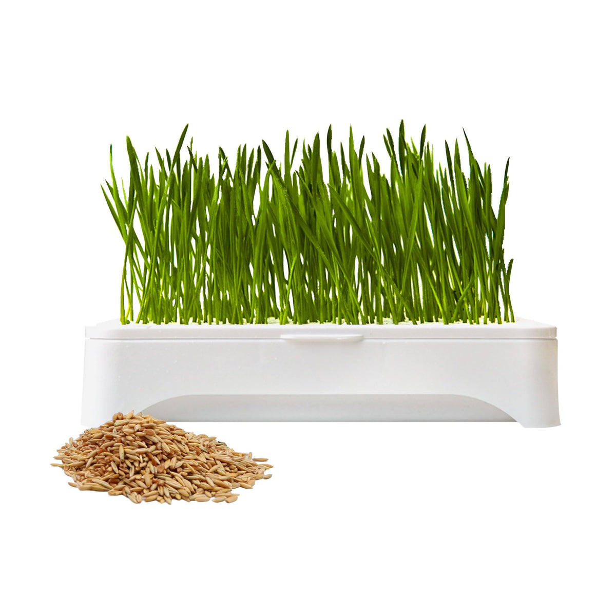 Cat Grass Kit with Organic Seeds Mix and Hydroponic Sprout Tray C362452