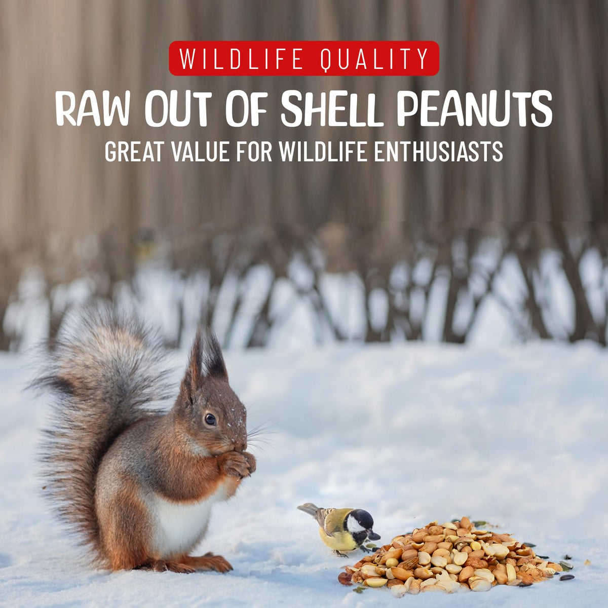 Raw Shelled Peanuts 5 Pounds J438