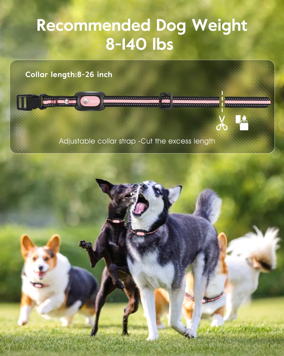 Pink Dog Training Collar with Remote D4656