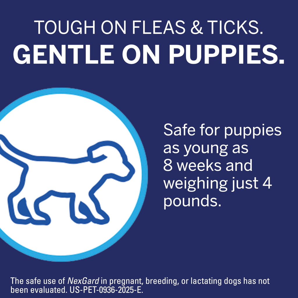 Flea and Tick Chewables for Dogs 4 to 10 lbs Beef Flavored G588885