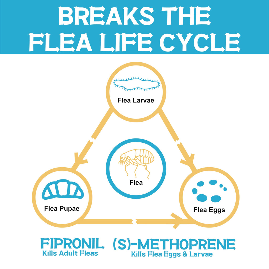 Flea and Tick Prevention for Dogs 6 Doses T824030