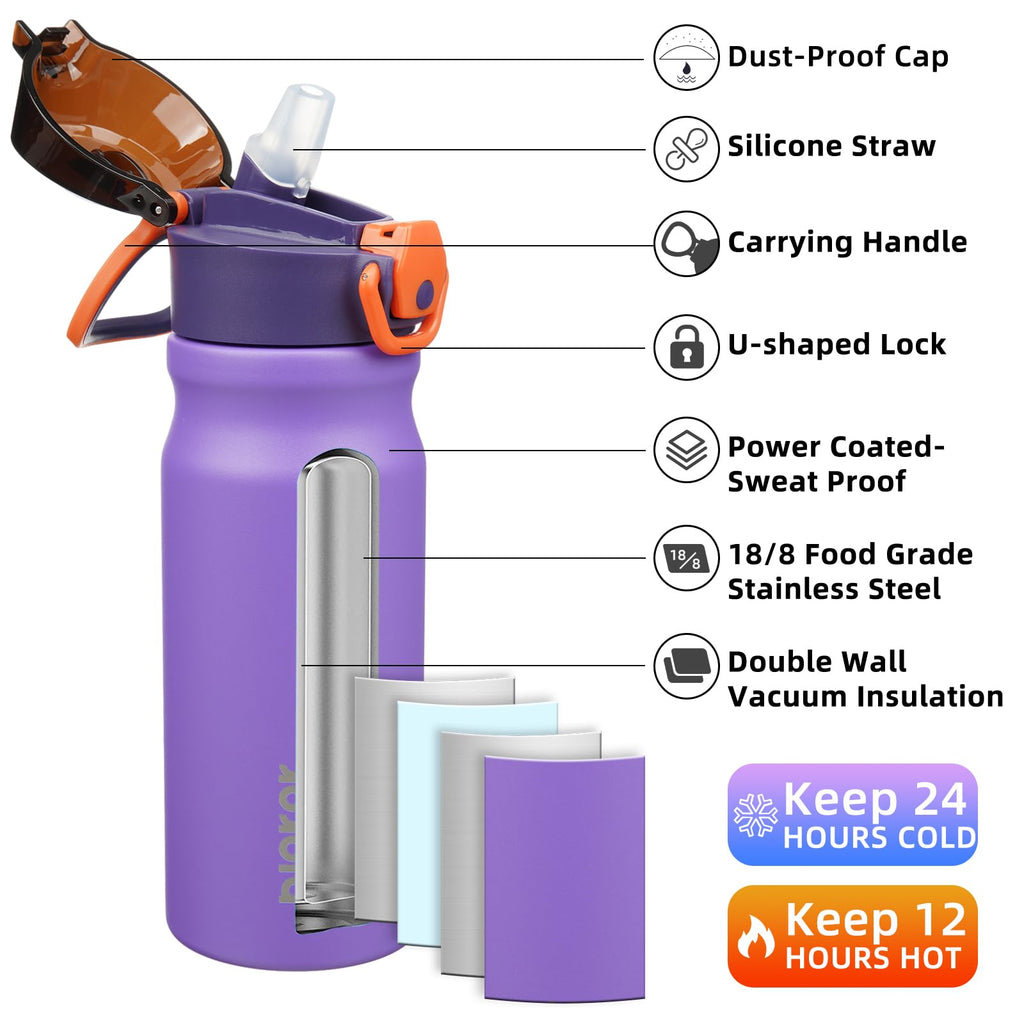 18 oz Insulated Stainless Water Bottle with Straw & Handle Q14369