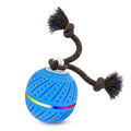 Interactive Dog Toys Ball for Aggressive Chewers H179