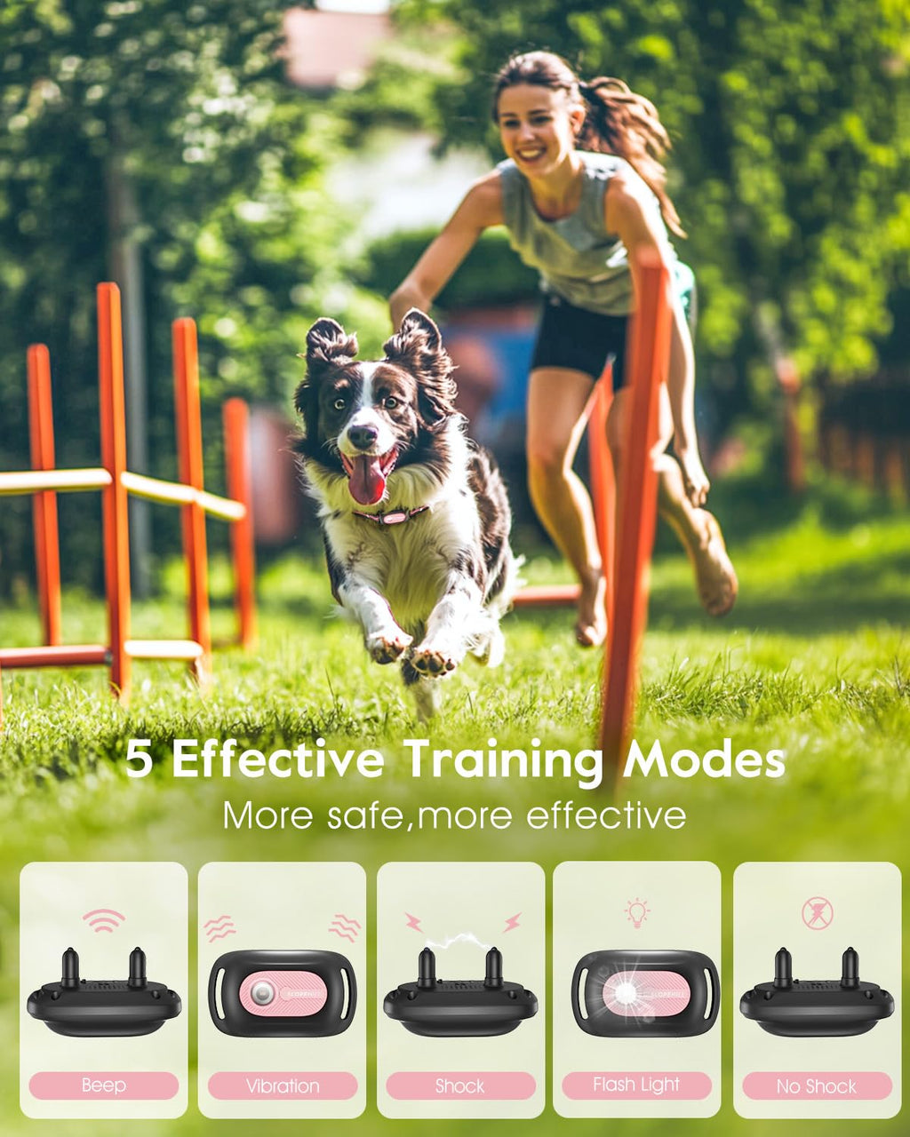 Pink Dog Training Collar with Remote D4656