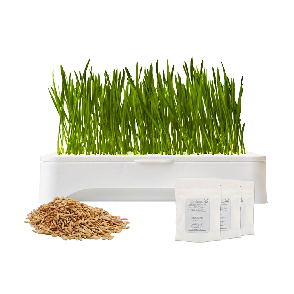 Cat Grass Kit with Organic Seeds Mix and Hydroponic Sprout Tray C362452