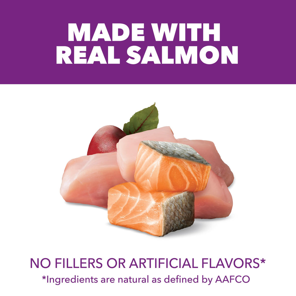 Chicken & Salmon Dry Dog Food 36 lb W387556