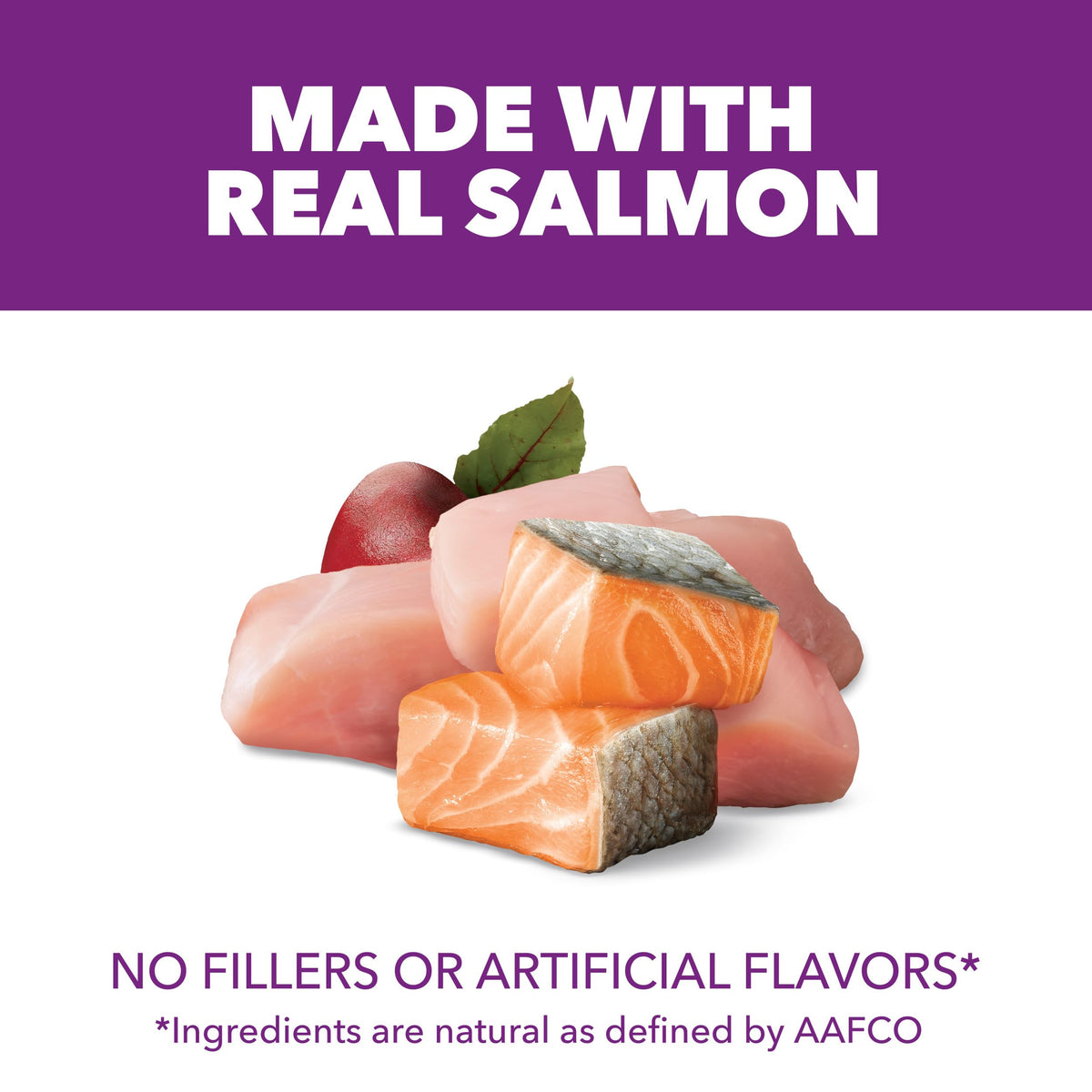 Chicken & Salmon Dry Dog Food 36 lb W387556