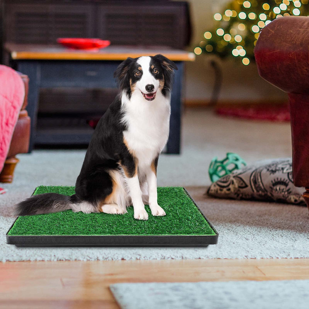 Large Dog Grass Pad with Tray and 2 Artificial Pee Grasses G2143