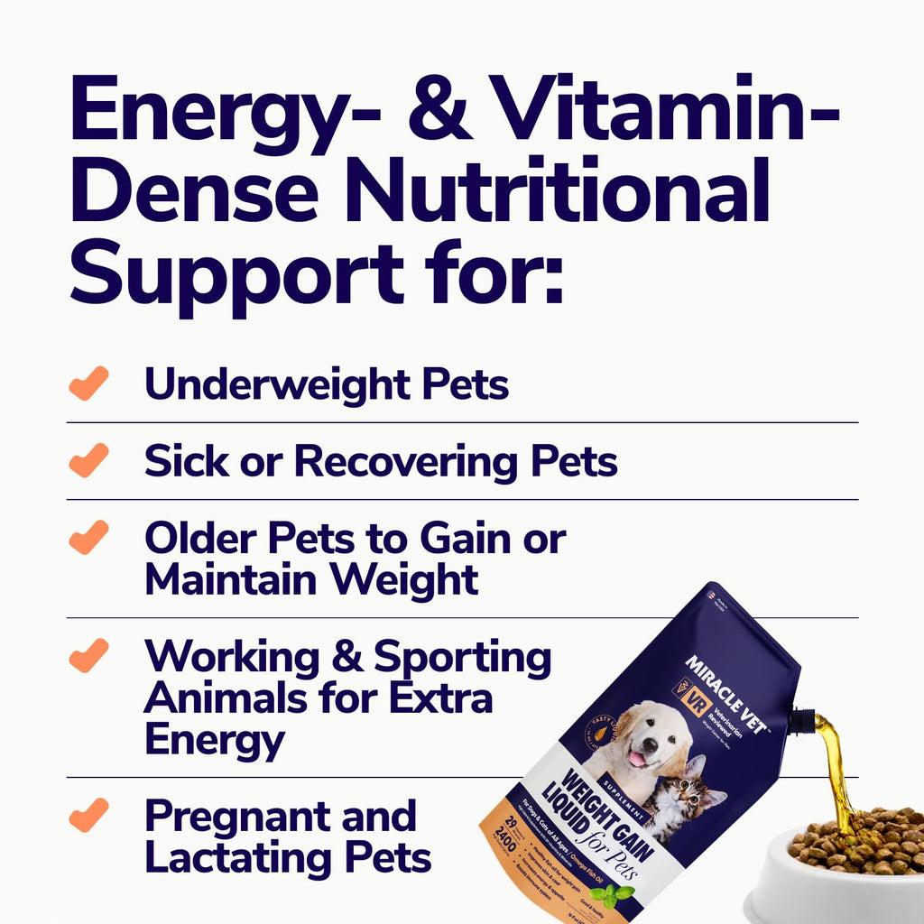 High-Calorie Weight Gainer Gel for Dogs & Cats K584824