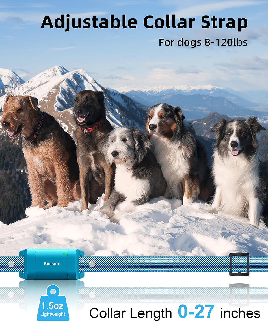 Waterproof Dog Training Collar with Remote H42717