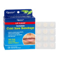 Cold Sore Healing Patches, 12 Bandages P39380