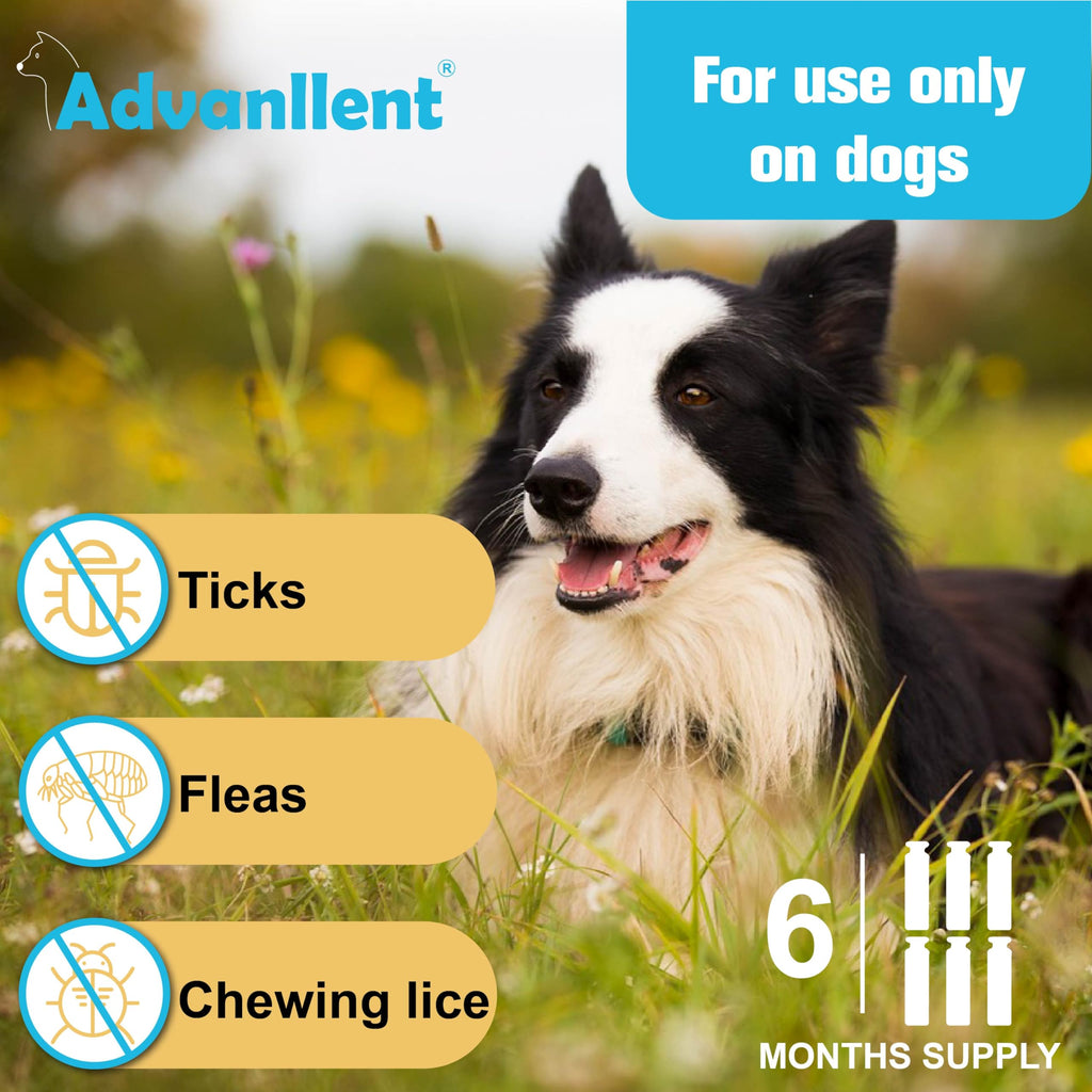 Flea and Tick Prevention for Dogs 6 Doses T824030