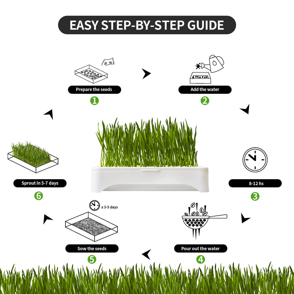 Cat Grass Kit with Organic Seeds Mix and Hydroponic Sprout Tray C362452
