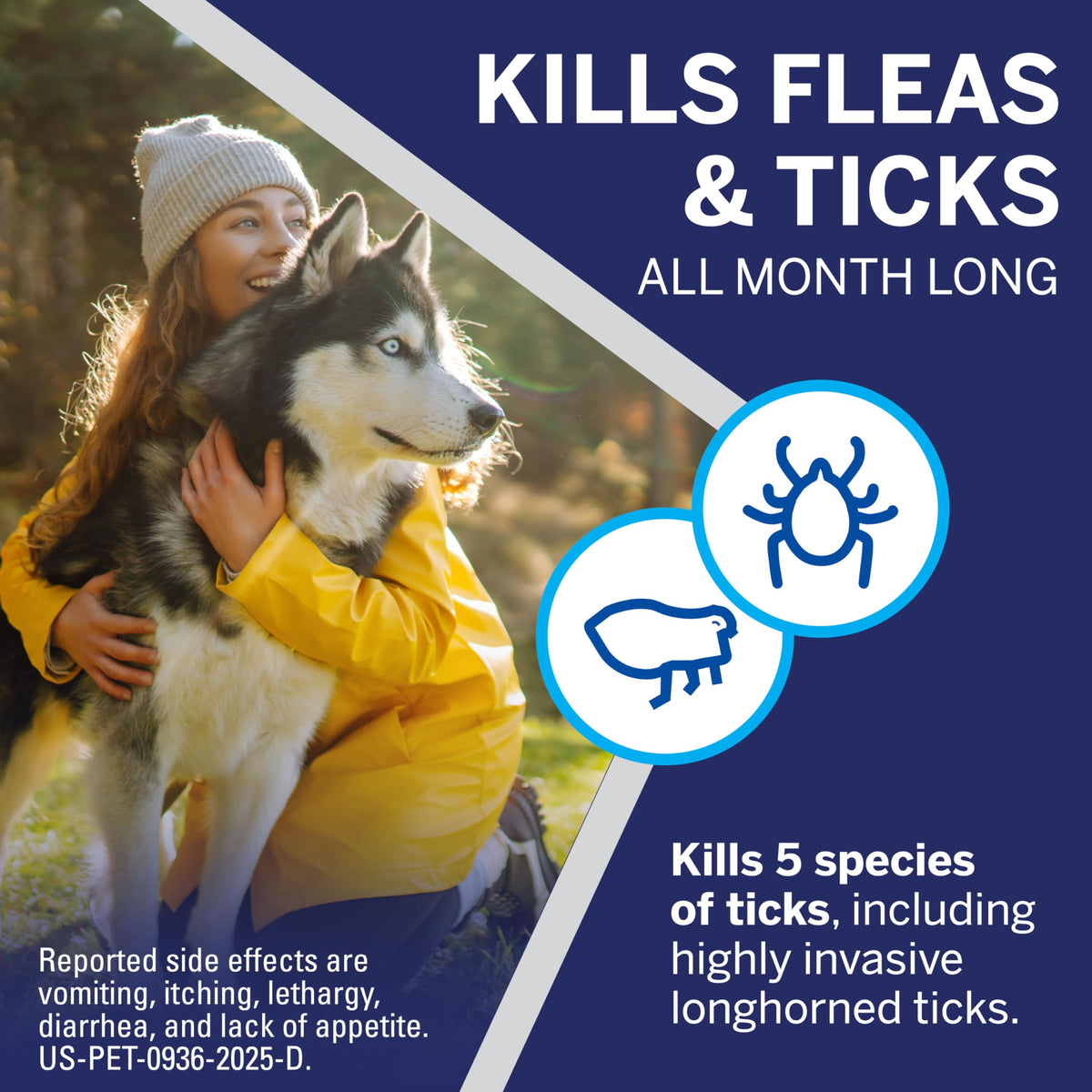 Flea and Tick Chewables for Dogs 4 to 10 lbs Beef Flavored G588885