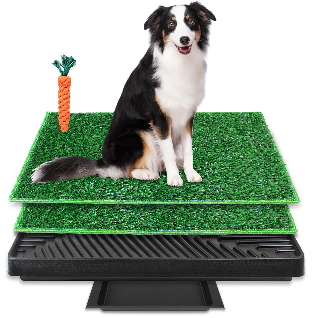 Large Dog Grass Pad with Tray and 2 Artificial Pee Grasses G2143
