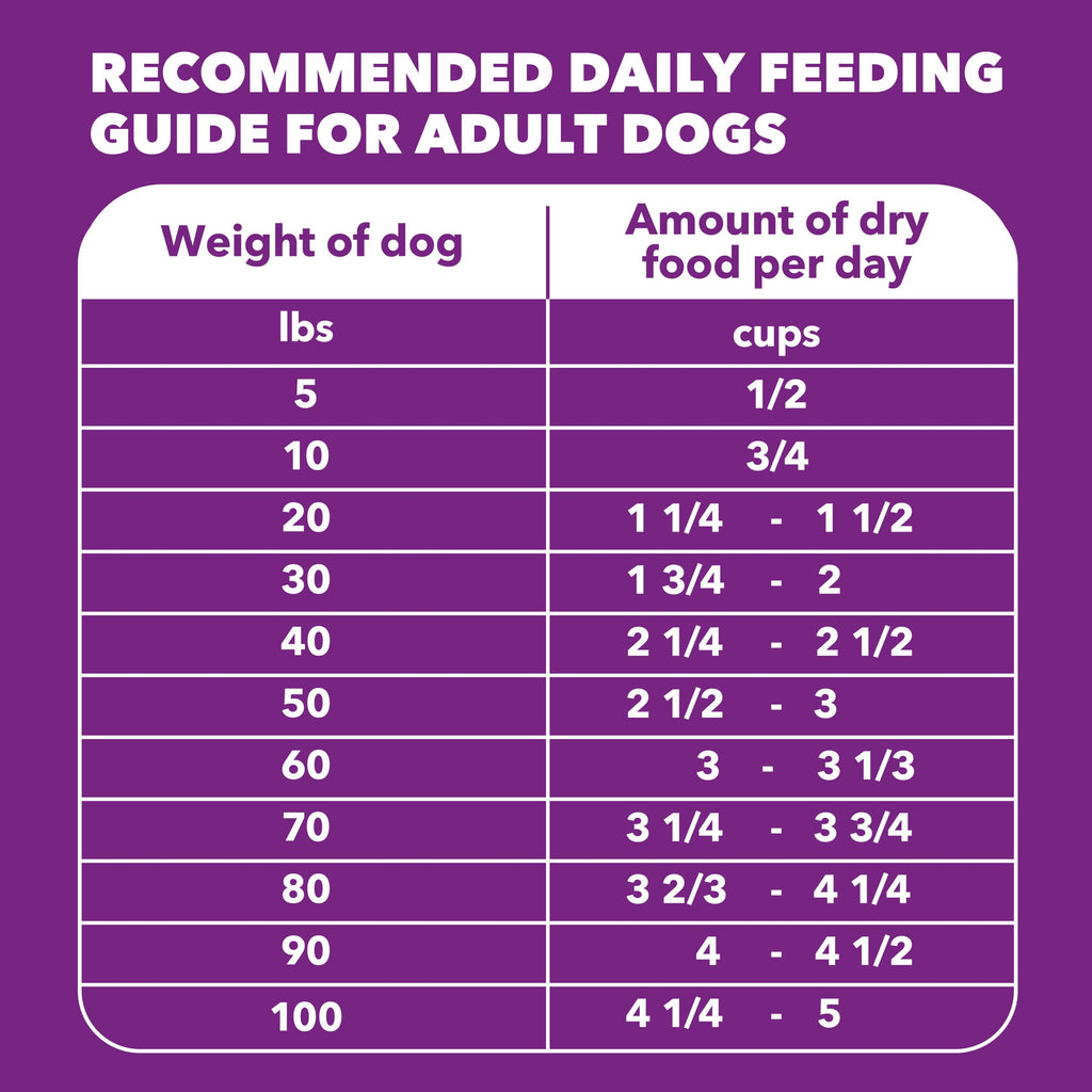 Chicken & Salmon Dry Dog Food 36 lb W387556
