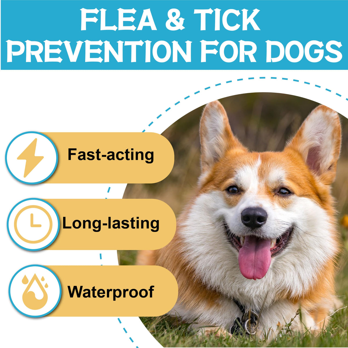 Flea and Tick Prevention for Dogs 6 Doses T824030