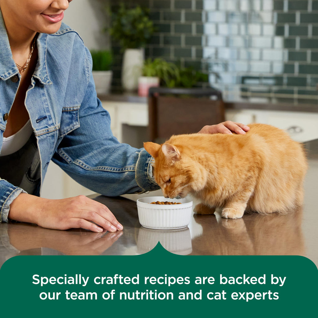 Indoor Complete Dry Cat Food 14 lb. Bag K305