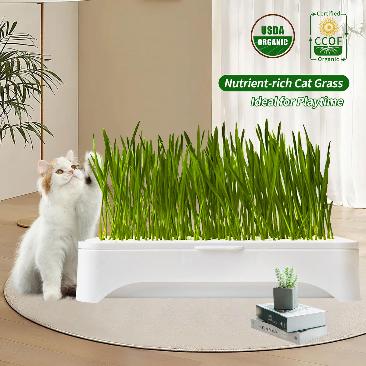 Cat Grass Kit with Organic Seeds Mix and Hydroponic Sprout Tray C362452