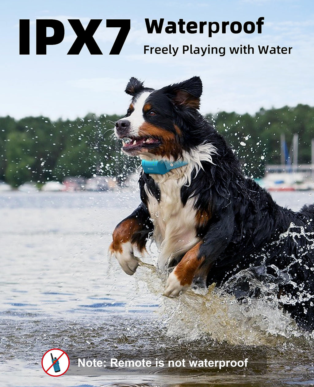 Waterproof Dog Training Collar with Remote H42717