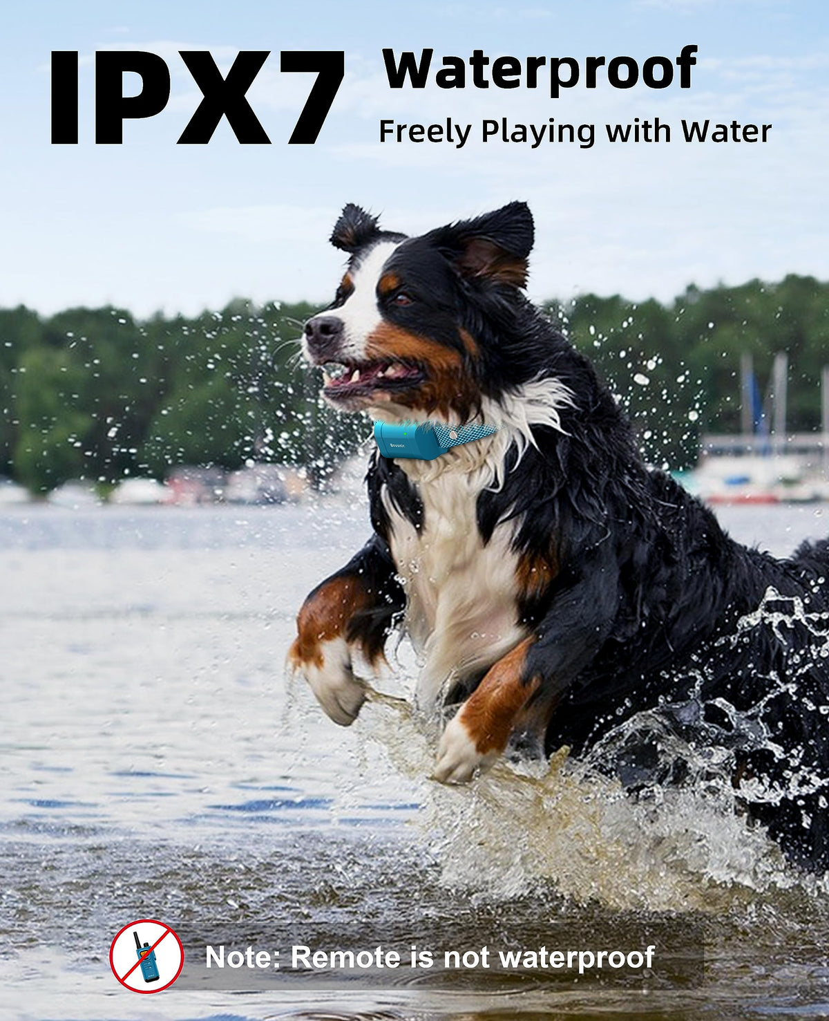 Waterproof Dog Training Collar with Remote H42717