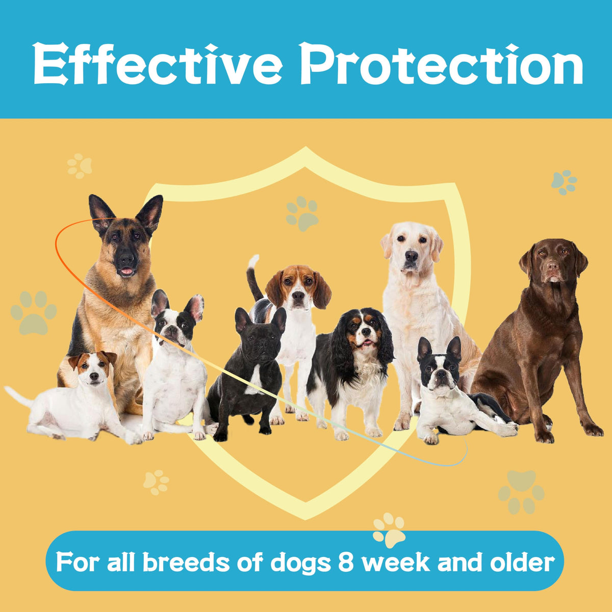 Flea and Tick Prevention for Dogs 6 Doses T824030