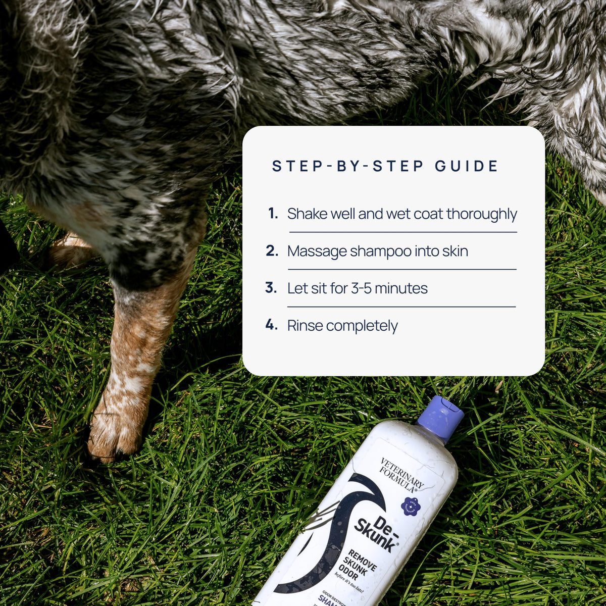 Dog Shampoo 32oz O752837