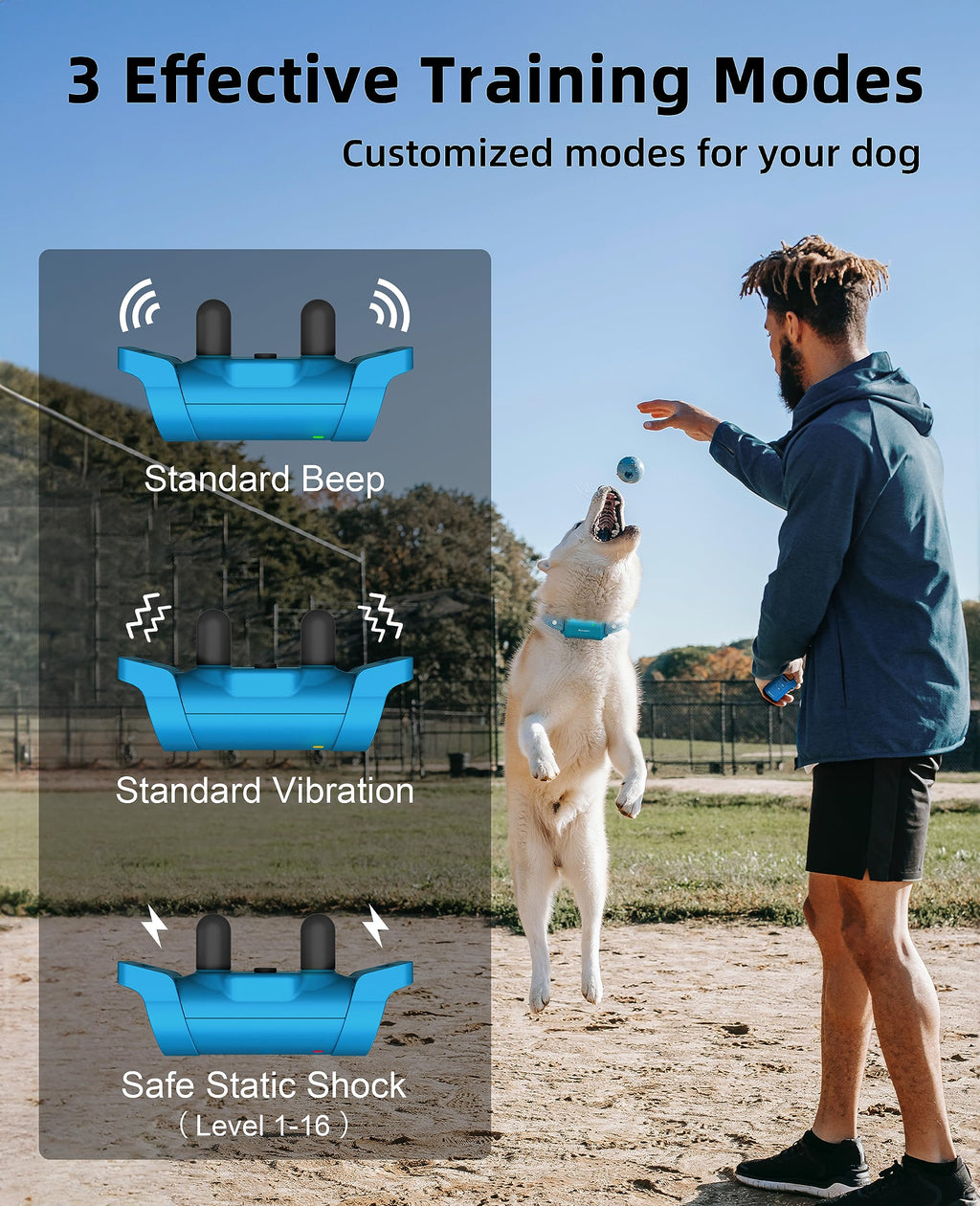 Waterproof Dog Training Collar with Remote H42717