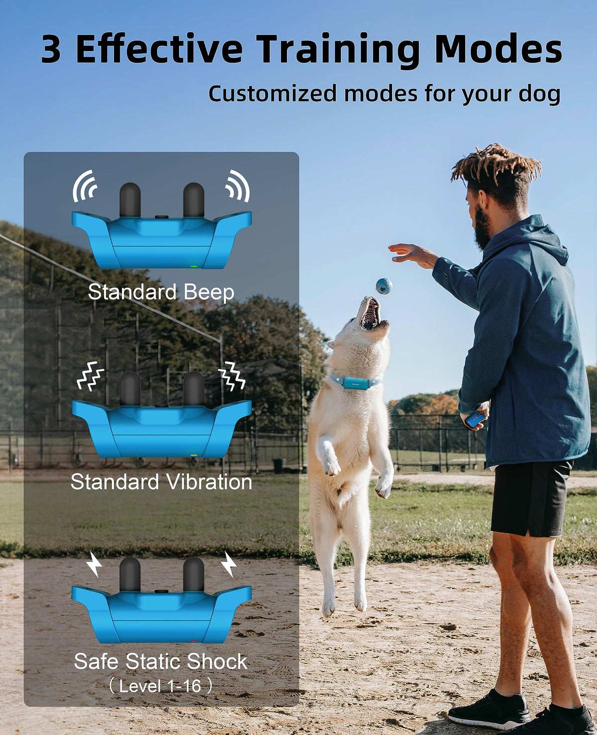 Waterproof Dog Training Collar with Remote H42717