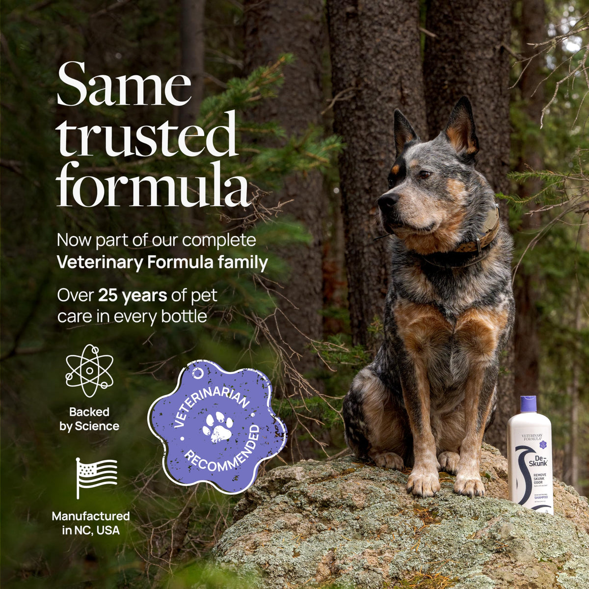 Dog Shampoo 32oz O752837