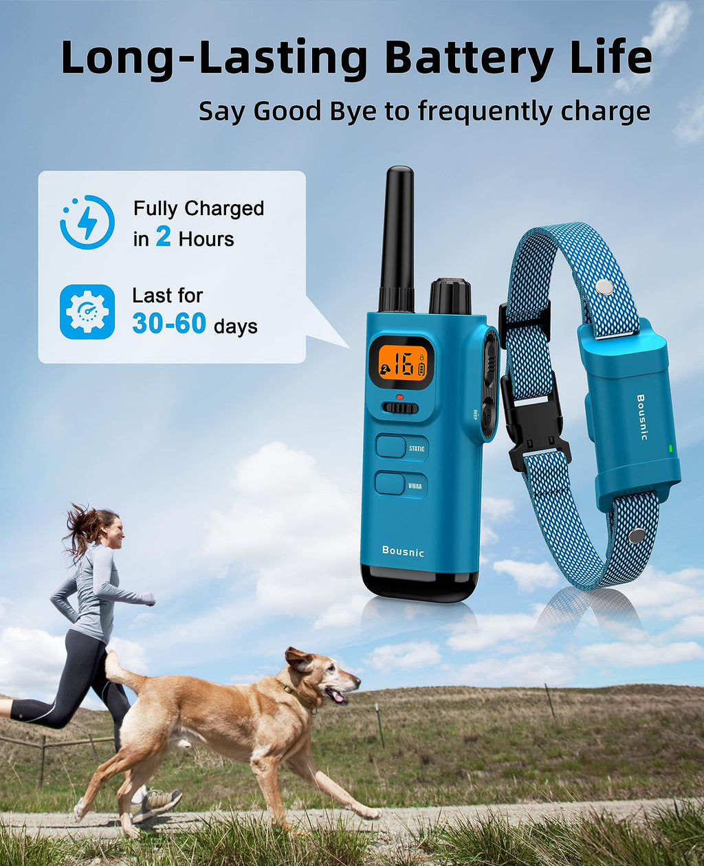 Waterproof Dog Training Collar with Remote H42717